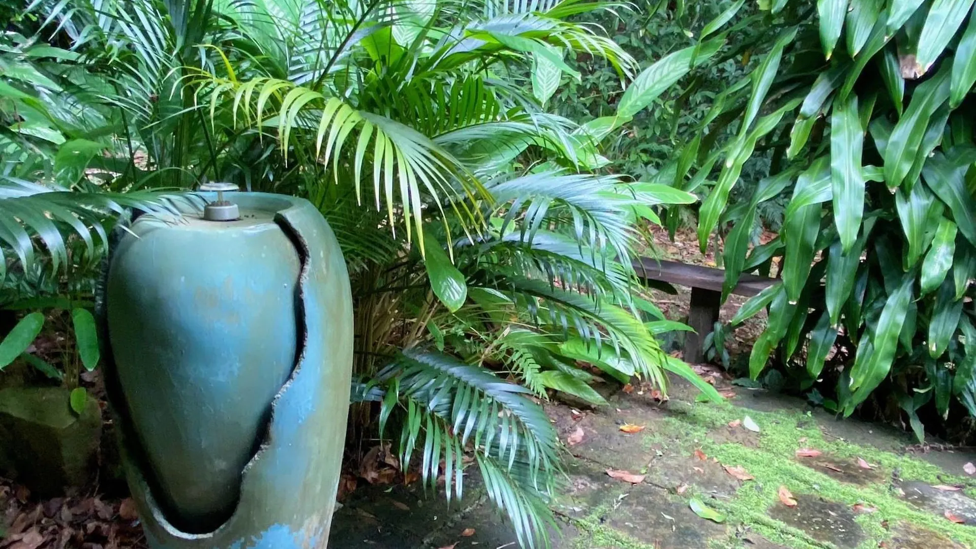 Hotel Palmwoods Eco Escape Austrálie