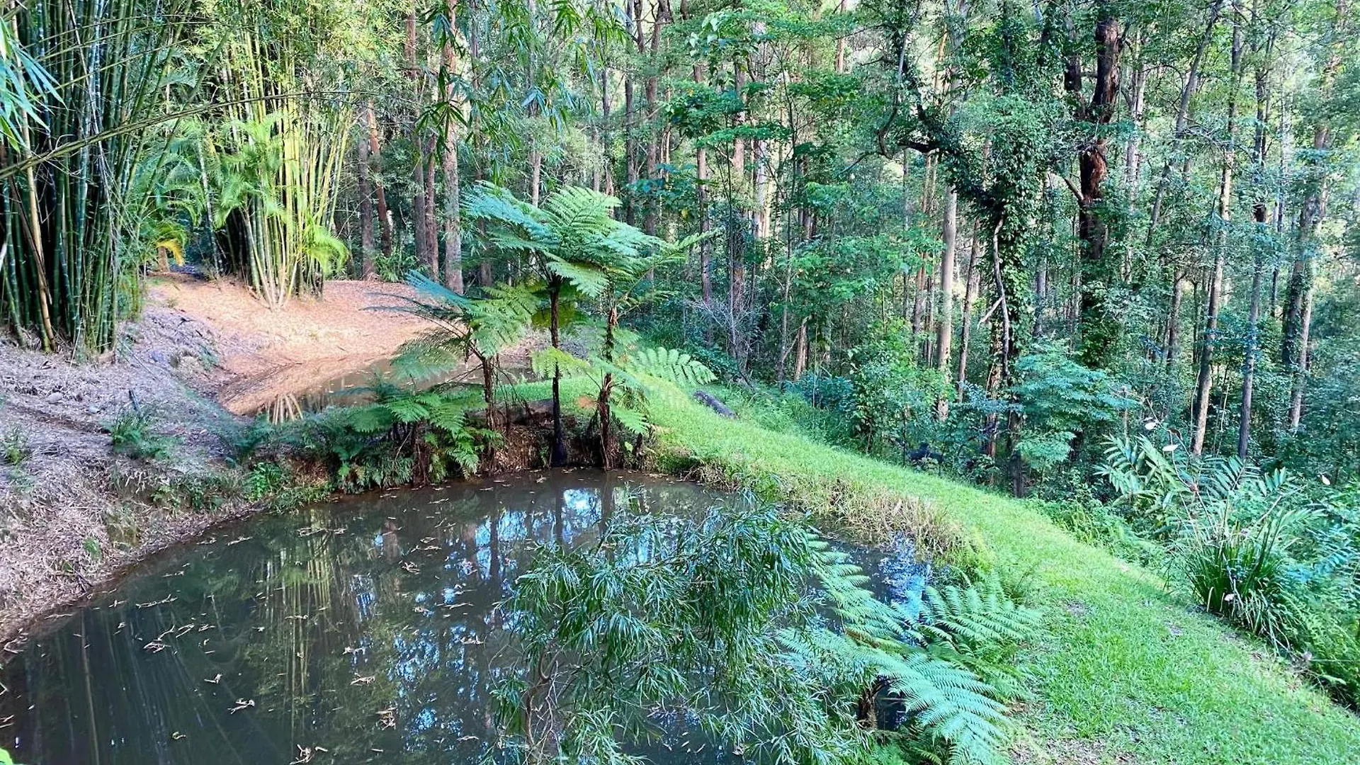 Hotel Palmwoods Eco Escape 0*,  Austrálie