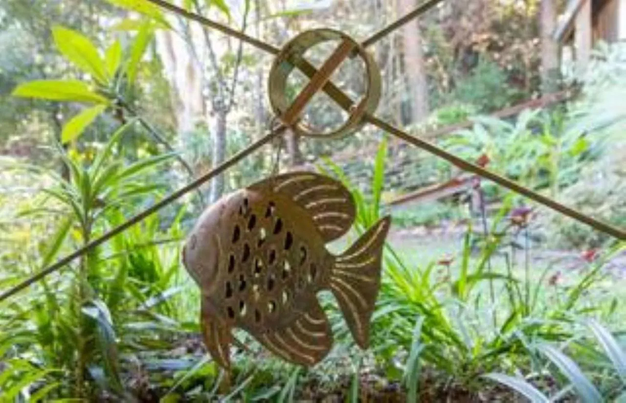 Palmwoods Eco Escape Hotel Guest house